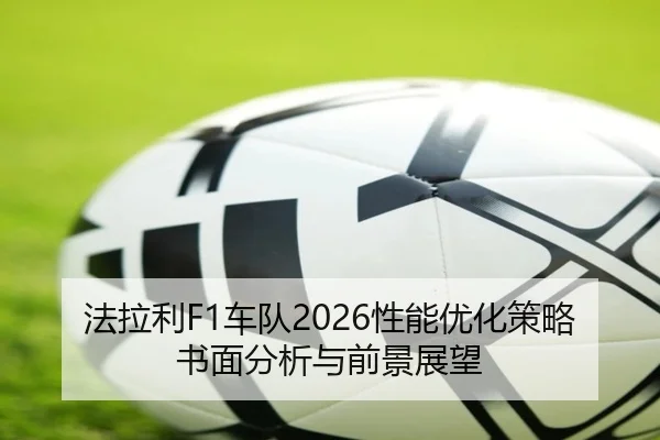 fa-la-li-che-dui-xing-neng-you-hua-ce-lve-shu-mian-fen-xi-yu-qian-jing-zhan-wang-2-567.jpg