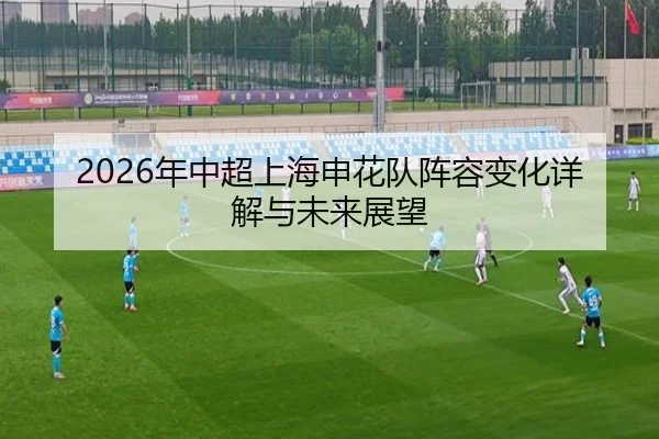 2026年中超上海申花队阵容变化详解与未来展望